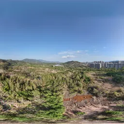 Highsky building clouds forest