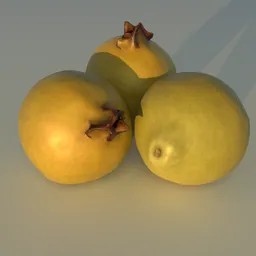 Highly-detailed 3D guava trio with accurate textures, retopologized and UV-mapped using Blender.