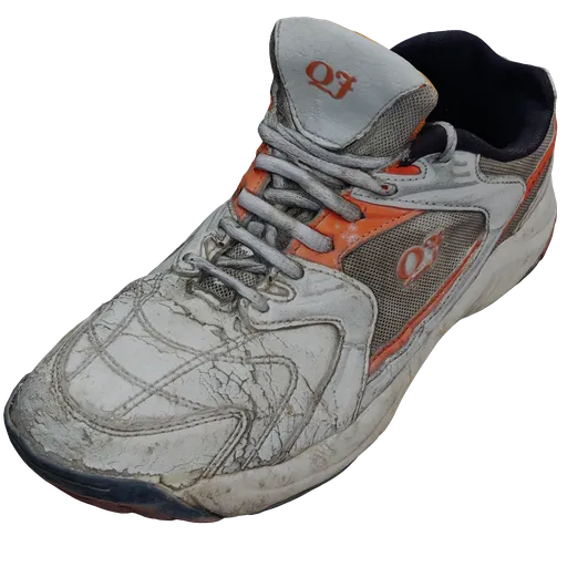 Shoes Worn