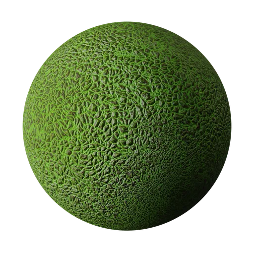 Reptile Skin