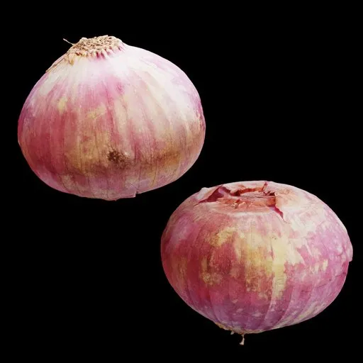 Fresh Red Onion