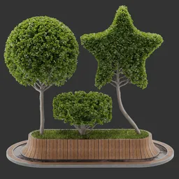 Topiary Trees