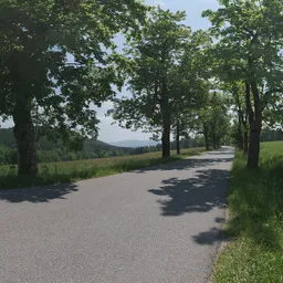 Sunny Country Road
