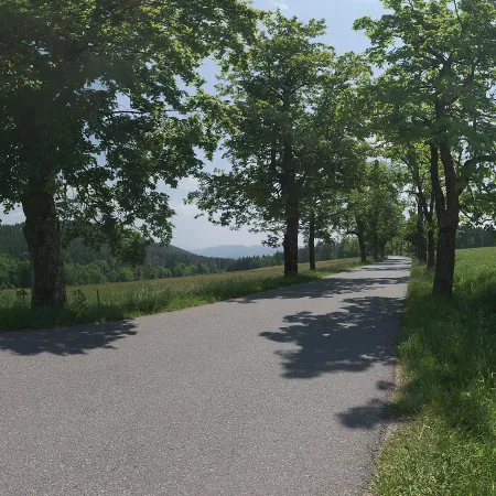 Sunny Country Road