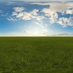 Green grass cloudy blue sky pure sky