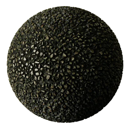 Scree Rock