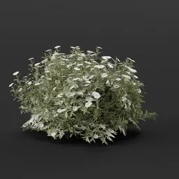 Highly detailed 3D aster flower model with adjustable color node, suitable for game environments and architectural visualization.