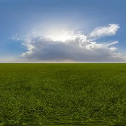 Green grass cloudy blue sky pure sky