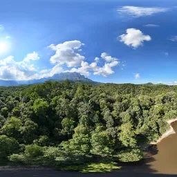 Highsky green forest cloud bluesky