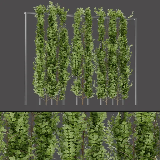 Green Vine Trellis