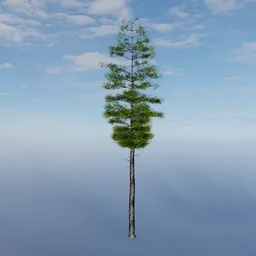 Realistic Blender 3D evergreen tree model with detailed foliage and bark texture, suitable for virtual environments.