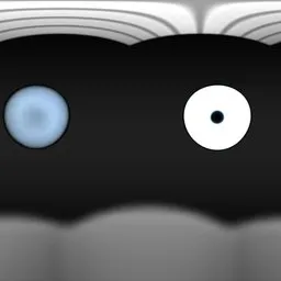 Studio Light Black White Light