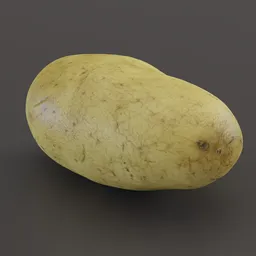 Detailed 3D model of a white potato with 4K texture, ideal for Blender rendering and CGI projects.