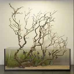 Natural Aquarium Driftwood Layout