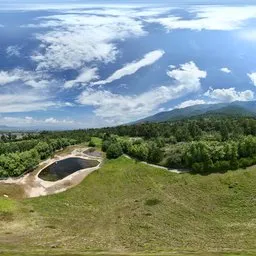 Highsky green grass forest