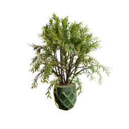 "High-resolution 3D model of the Weeping Willow plant in a green vase, rendered on Blender 3D. This realistic model showcases detailed foliage and a soft filmic tonemapping effect, perfect for nature and indoor-themed projects. Inspired by Gladys Kathleen Bell, it is an ideal choice for creating fragrant and visually stunning scenes. "