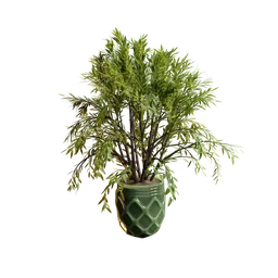 "High-resolution 3D model of the Weeping Willow plant in a green vase, rendered on Blender 3D. This realistic model showcases detailed foliage and a soft filmic tonemapping effect, perfect for nature and indoor-themed projects. Inspired by Gladys Kathleen Bell, it is an ideal choice for creating fragrant and visually stunning scenes. "