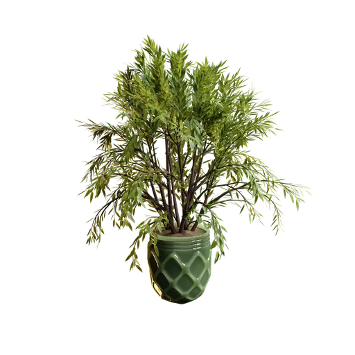 High-detail 3D indoor plant model with textured leaves for Blender rendering.