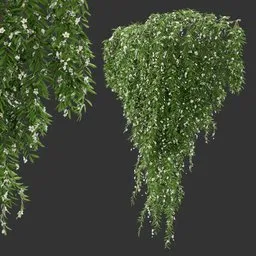 Flowering Wall Hanging Plant