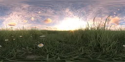 Redsky cloud green grass