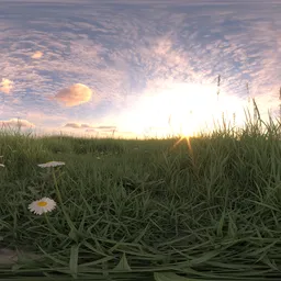 Redsky cloud green grass