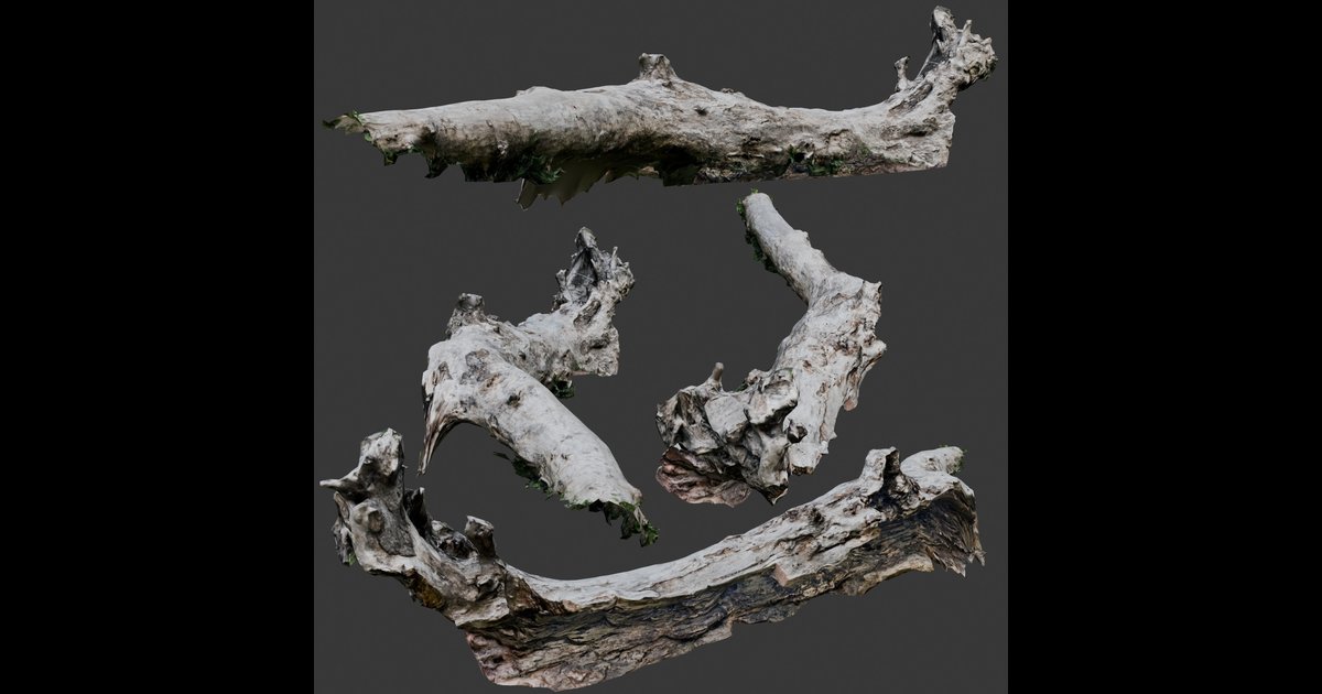 Tree Trunk Log | FREE Trees models | Blendkit