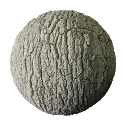 Dry Pale Oak Bark