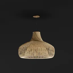 Curved Rattan Pendant Lamp