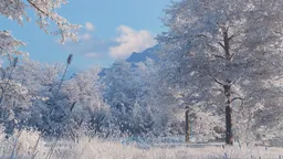 Winter Frost Woodland Landscape