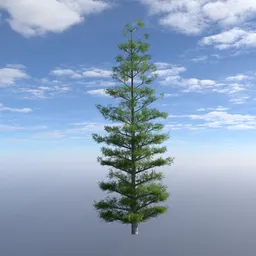 Low Poly Evergreen Tree Tall 2