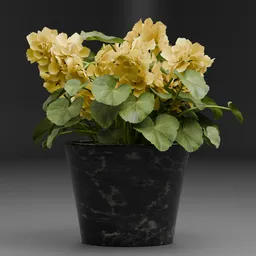 Yellow Flower Pot