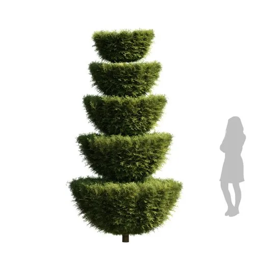 Highly detailed spiral Italian cypress tree 3D model with 4m height and realistic 4K textures, suitable for Blender.