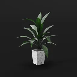 Marble Leaf Accent Plant