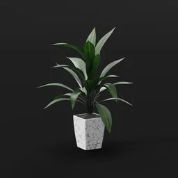 Marble Leaf Accent Plant