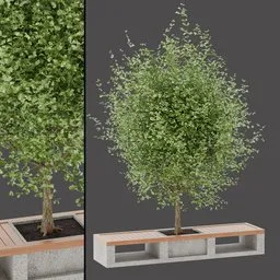 Green Table Structure