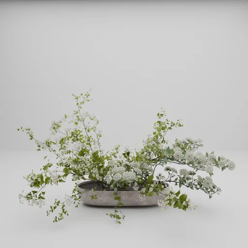 White Flower
