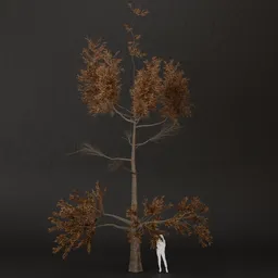 SJ-Winter Sleep Pine Tree