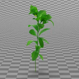 Stylized Grass - Grass Long