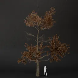 SJ-Crisp Air Pine Tree