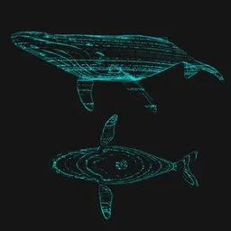 Holographic whale