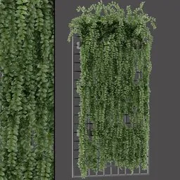 Hanging Vine Trellis