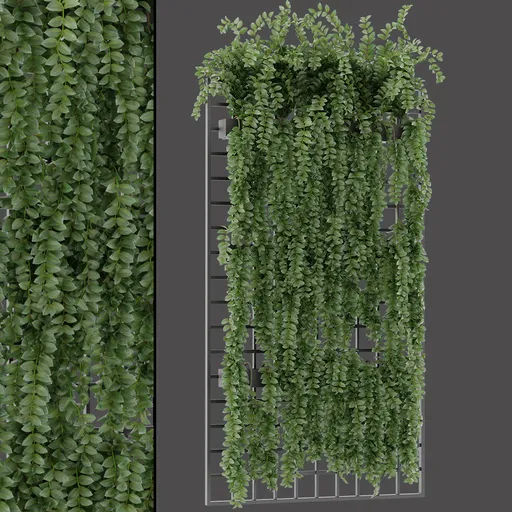 Hanging Vine Trellis