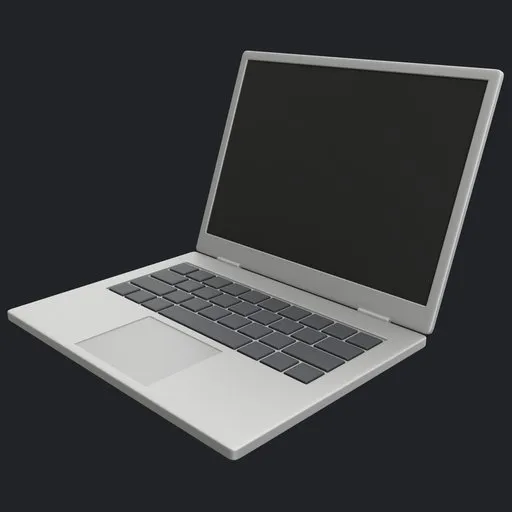 Laptop Notebook Computer