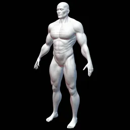 "Male base mesh for full-body 3D modeling - Shredded, with a muscular build and graceful structure. Use the modifier to manipulate the polygon count in Blender 3D. Perfect for human character reference sheets and photo-realistic rendering."