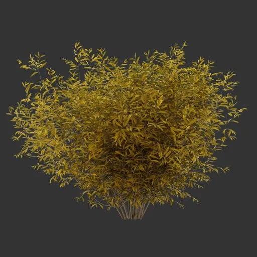 Bush Autumn Plant