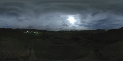 Moonlit Night Next To Forest