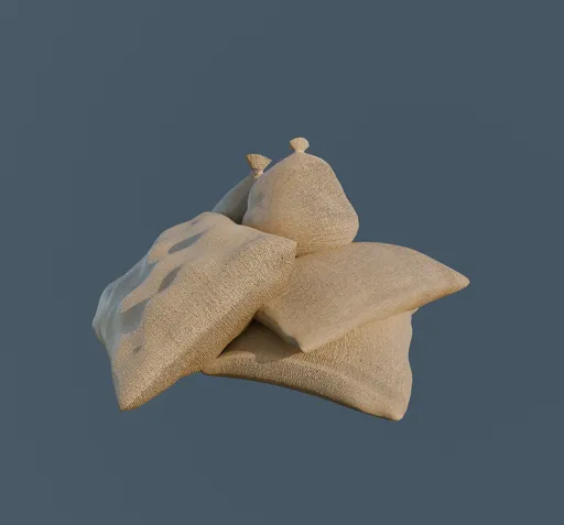 Bag