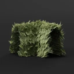 Red Cedar Hedge Corner Sharp Variation