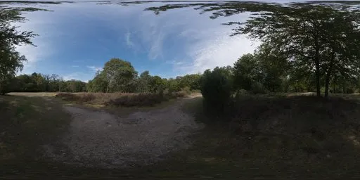 Epping Forest 02