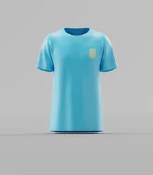 Argentina National Team Graphic T-Shirt